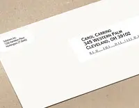 Dymo Address Labels - 350 Labels/Roll, 2 Rolls/Box Size: 1-1/8IN X 3-1/2IN - Convenie