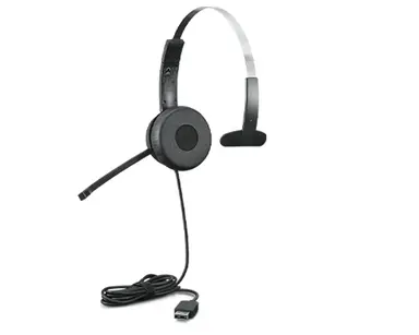 Lenovo AUDIO_BO Lenovo 100 Mono USB HS