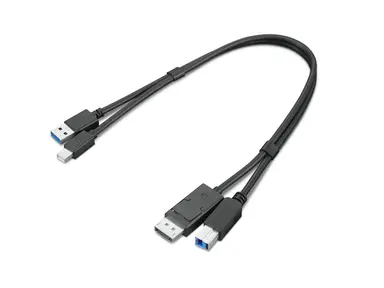 Lenovo CABLE_BO TS MDP+UA3 to DP+UB3 Cable
