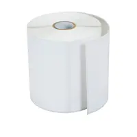 Brother International Corporat 4INX4IN DT Polypropylene Label 5INOD/1INCORE 730 LABELS/ROLL 8 ROLLS/CASE, image 3