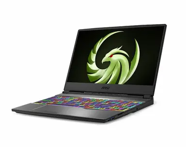 MSI Computer Alpha 15 A4DEK-004 15.6 in AMD R7 RX5600M