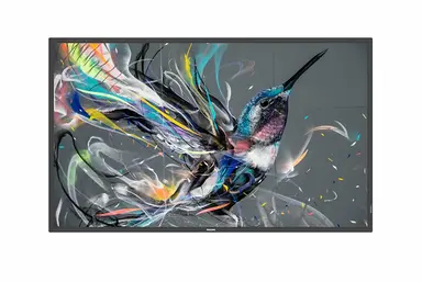 50IN Epeat Sliver Climate+certified Prosumer 18/7 Display UHD (3840X2160) 300C