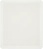 Epson Print Epson F2100 Medium Grip Pad, image 3