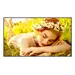 LG Electronics USA 65 3,840 X 2,160 (4K UHD), 500 Nits (Typ.), Ads Panel Technology, Portrait / Land, image 5