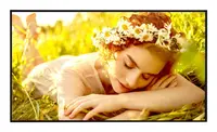 LG Electronics USA 75 3,840 X 2,160 (4K UHD), 500 Nits (Typ.), Ads Panel Technology, Portrait / Land, image 3