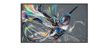 55 Prosumer 18/7 Display UHD (3840X2160) 400CD/M2.