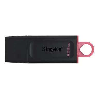 Kingston 256GB USB3.2 Gen 1 Datatraveler Exodia - Co-Logo Moq 100