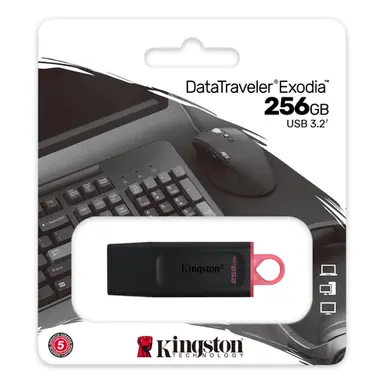 Kingston 256GB USB3.2 Gen 1 Datatraveler Exodia - Co-Logo Moq 100, image 4
