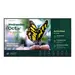 Benq America Benq 55IN 4K Smart Signage Black, image 5